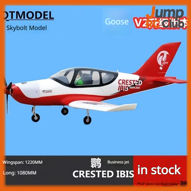 Rc Hobby Experts - Avión de Control Remoto Modelo QT,